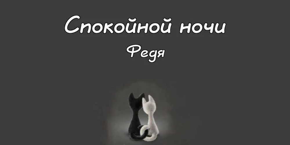 Открытка Открытки с именем Федор - Открытка с черным и белым котятами - поздравительная | Красивая открытка #63