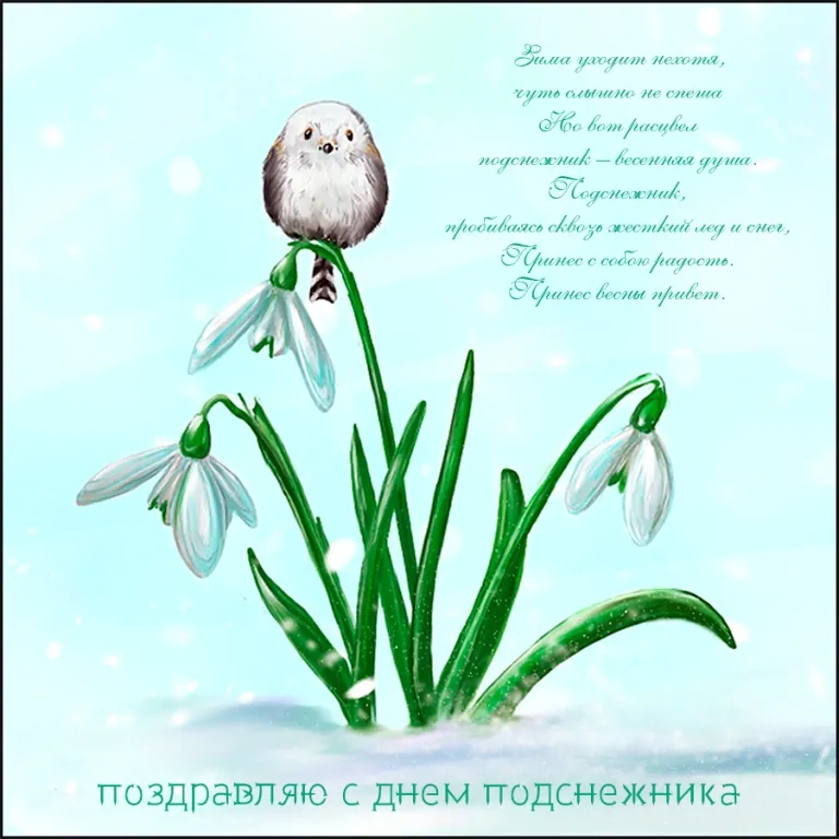 Открытка С днём подснежника - Подснежник: поздравление с весенним цветением | Красивая открытка #8