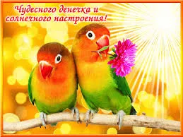 Открытка Открытки хорошего дня - Две птички на ветке, фиолетовый цветок | Красивая открытка #79