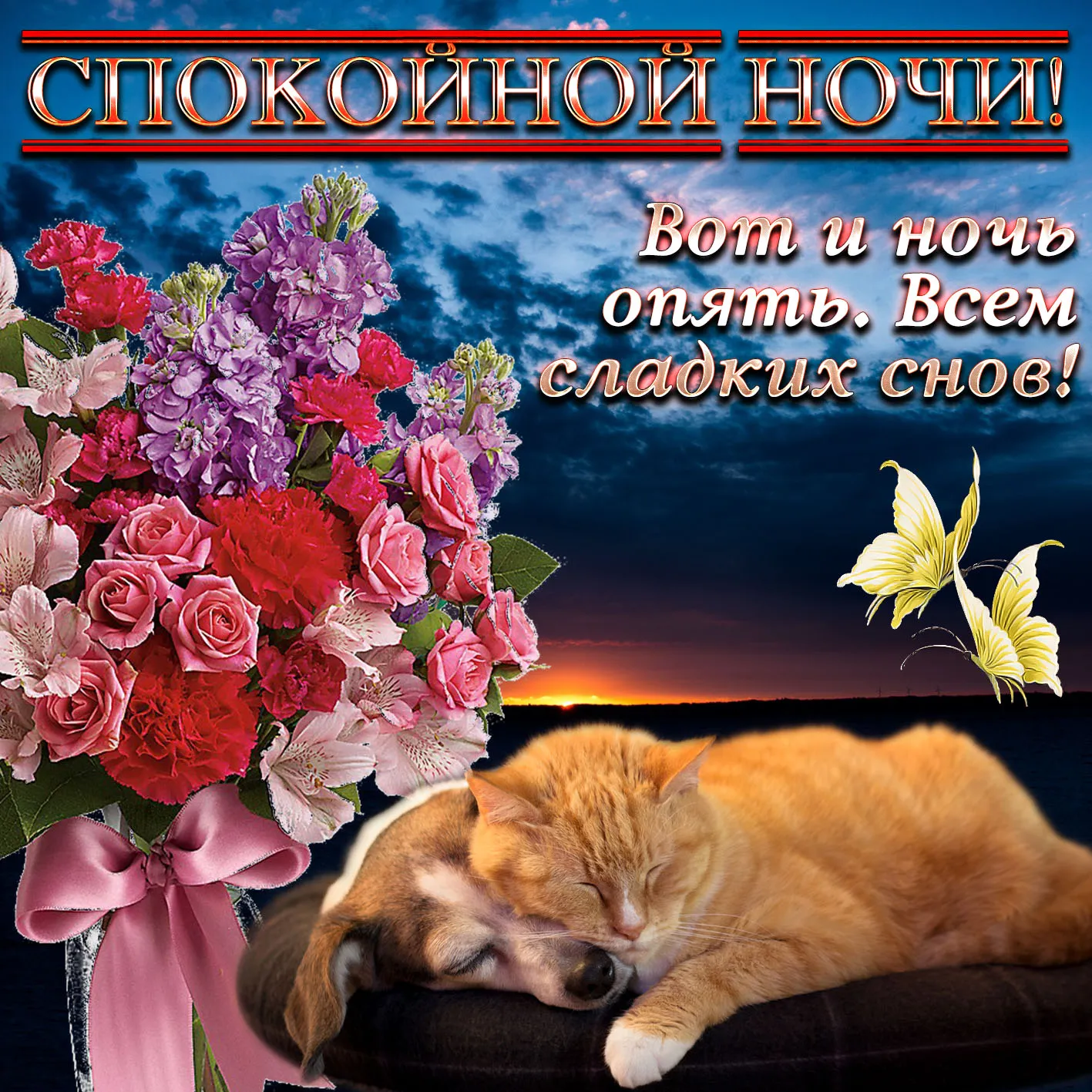 Открытка Спокойной ночи - Кошка, розы и бабочки: Открытка с добрым вечером | Красивая открытка #73