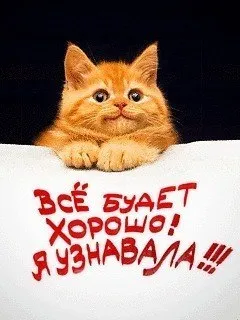 Открытка Открытки все будет хорошо - Кот на открытке: милый котенок на новогодней открытке | Красивая открытка #28