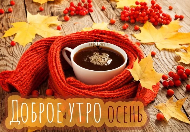 Открытка Открытки с добрым осенним утром - Доброе утро. Осеннее настроение. | Красивая открытка #7