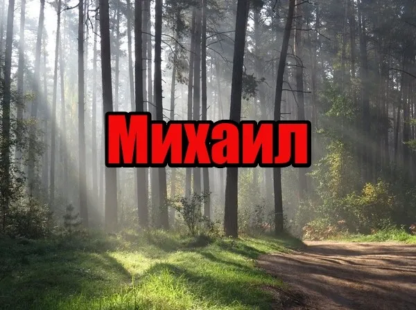 Открытка Открытки с именем Михаил  - Лес в утреннем тумане: открытка с природой | Красивая открытка #180