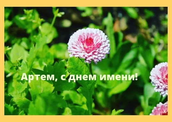 Открытка открытки с именем Артем - Открытка Артем: нежные цветы на день рождения | Красивая открытка #196