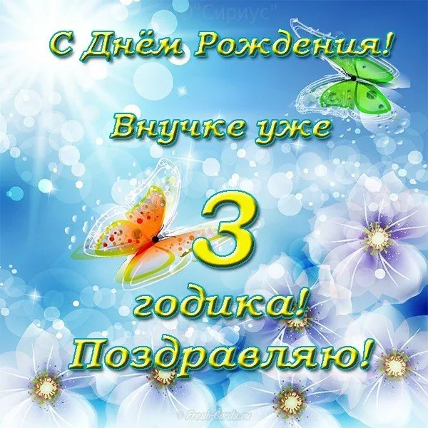 Открытка С днем рождения внучка - Открытка с днем рождения: яркие цветы и бабочки | Красивая открытка #20