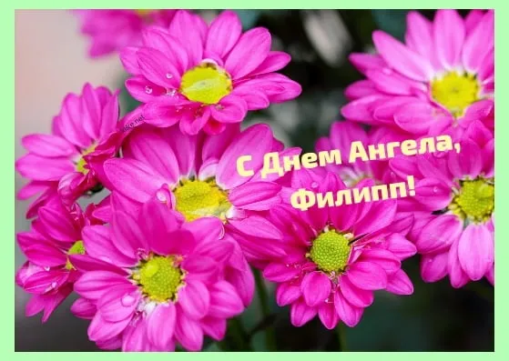 Открытка Открытки с именем Филлип - Открытка: букет розовых хризантем | Красивая открытка #45