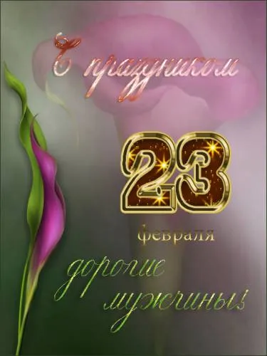 Открытка 23 февраля - Открытка с 23 февраля: цветы, надпись | Красивая открытка #132