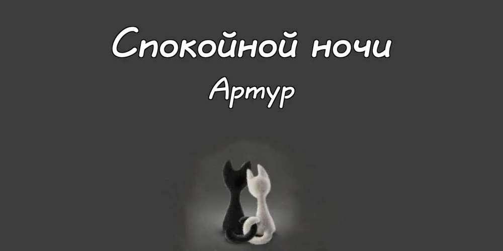 Открытка открытки с именем Артур - Открытка с черным и белым котами | Красивая открытка #72