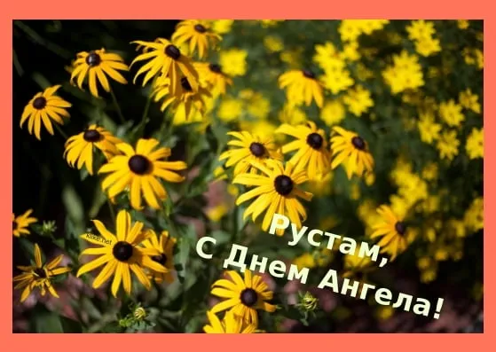 Открытка Открытки с именем Рустам - Полевые цветы: открытка с Днём Ангела | Красивая открытка #130