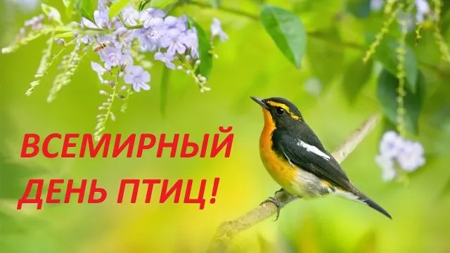 Открытка С днём птиц - Птица на ветке, цветы, зелень | Красивая открытка #19