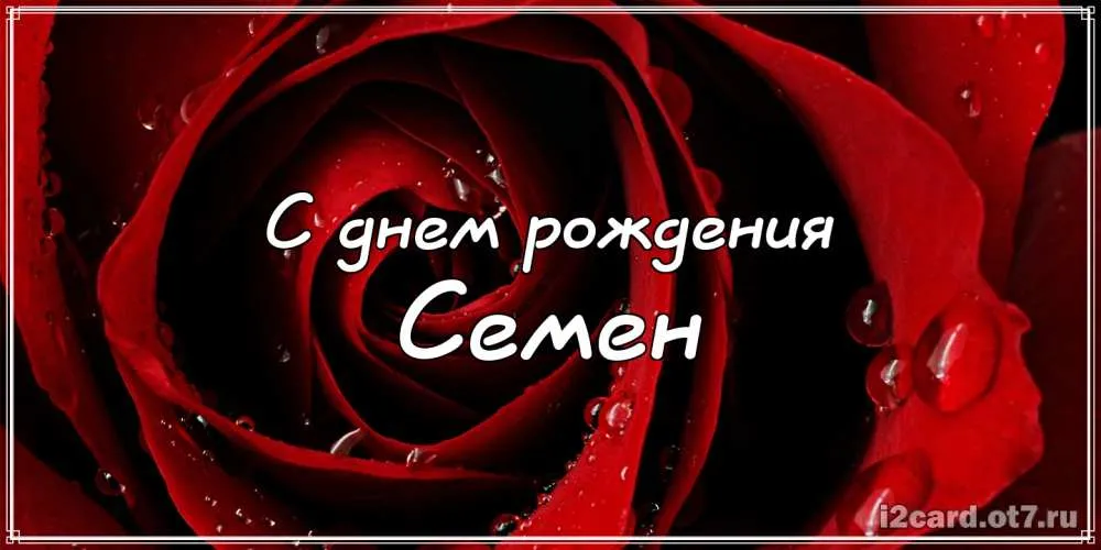 Открытка Открытки с именем Семен - Открытка с красной розой: поздравления с днем рождения | Красивая открытка #143