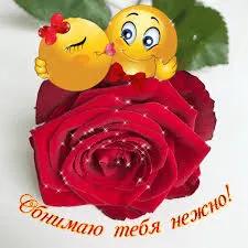 Открытка Обнимаю - Открытка с милым котиком и красной розой | Красивая открытка #148