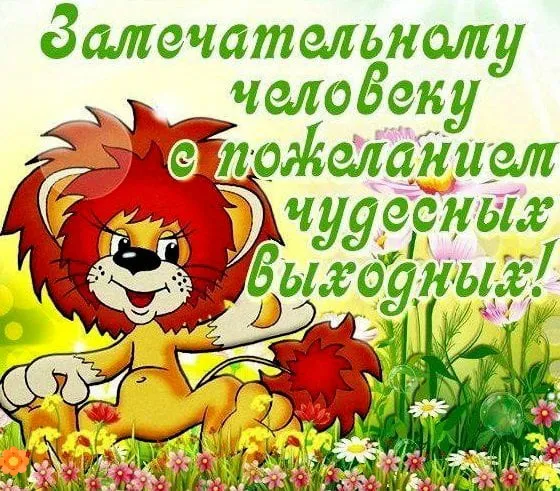 Открытка Хороших выходных - Львёнок на лугу: открытка с цветами и солнцем | Красивая открытка #23
