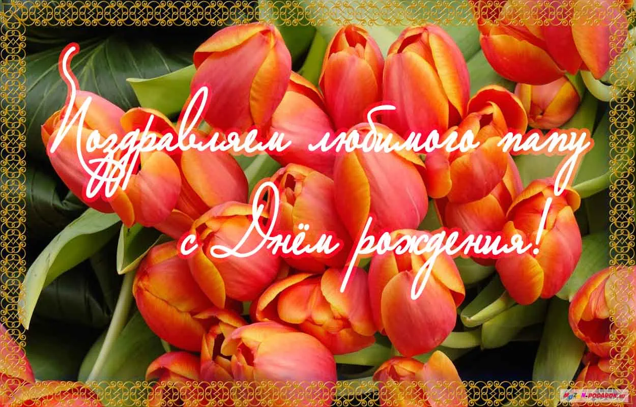 Открытка Открытки с Днем Рождения папе - Открытка с красными тюльпанами: день рождения | Красивая открытка #18