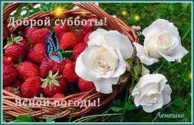 Открытка Открытки на субботу - Открытка с клубникой и розами | Красивая открытка #192