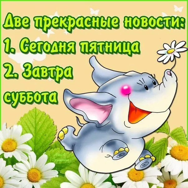 Открытка Хорошей пятницы - Открытка с милым котенком и цветами | Красивая открытка #48