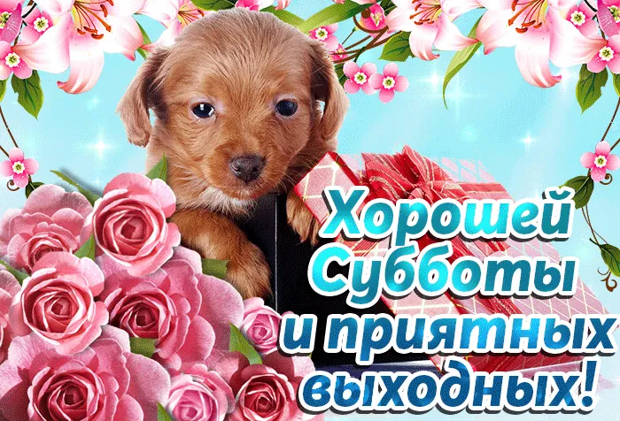 Открытка Удачной субботы - Открытка с щенком и розами: Приятных выходных! | Красивая открытка #18