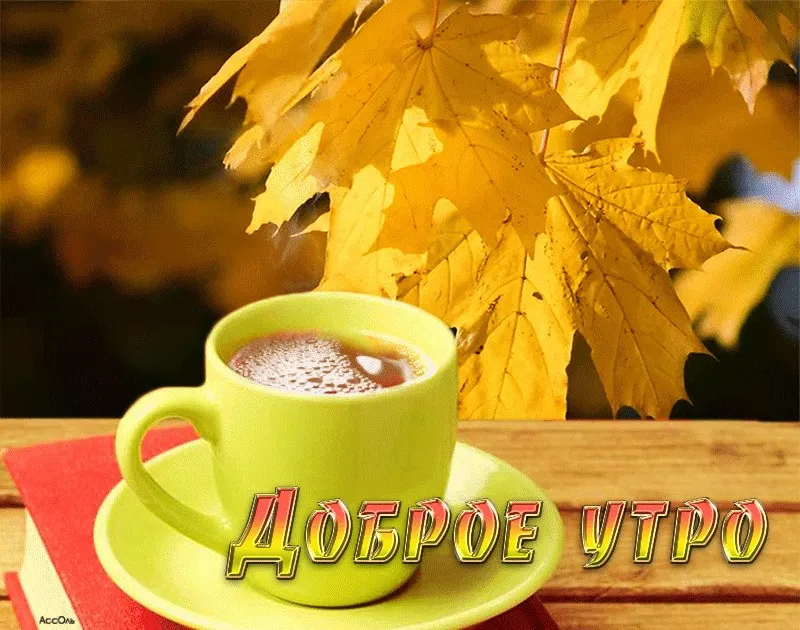Открытка Открытки с добрым осенним утром - Доброе утро! Открытка с чашкой кофе | Красивая открытка #55