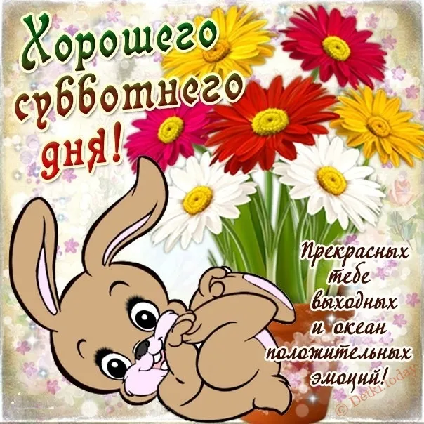 Открытка Выходные - Зайчик и ромашки: открытка с днем рождения | Красивая открытка #6