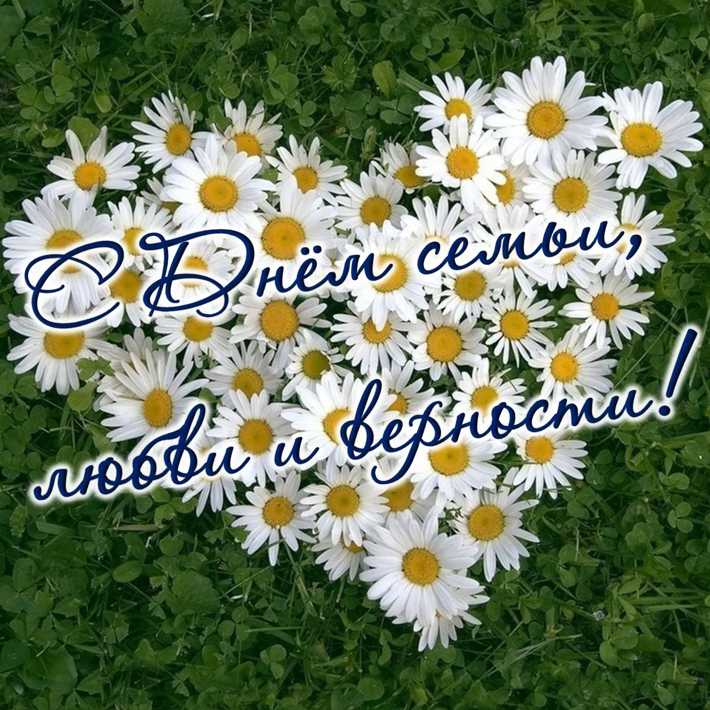 Открытка С ромашками - Открытка: Поле цветов в форме сердца | Красивая открытка #100