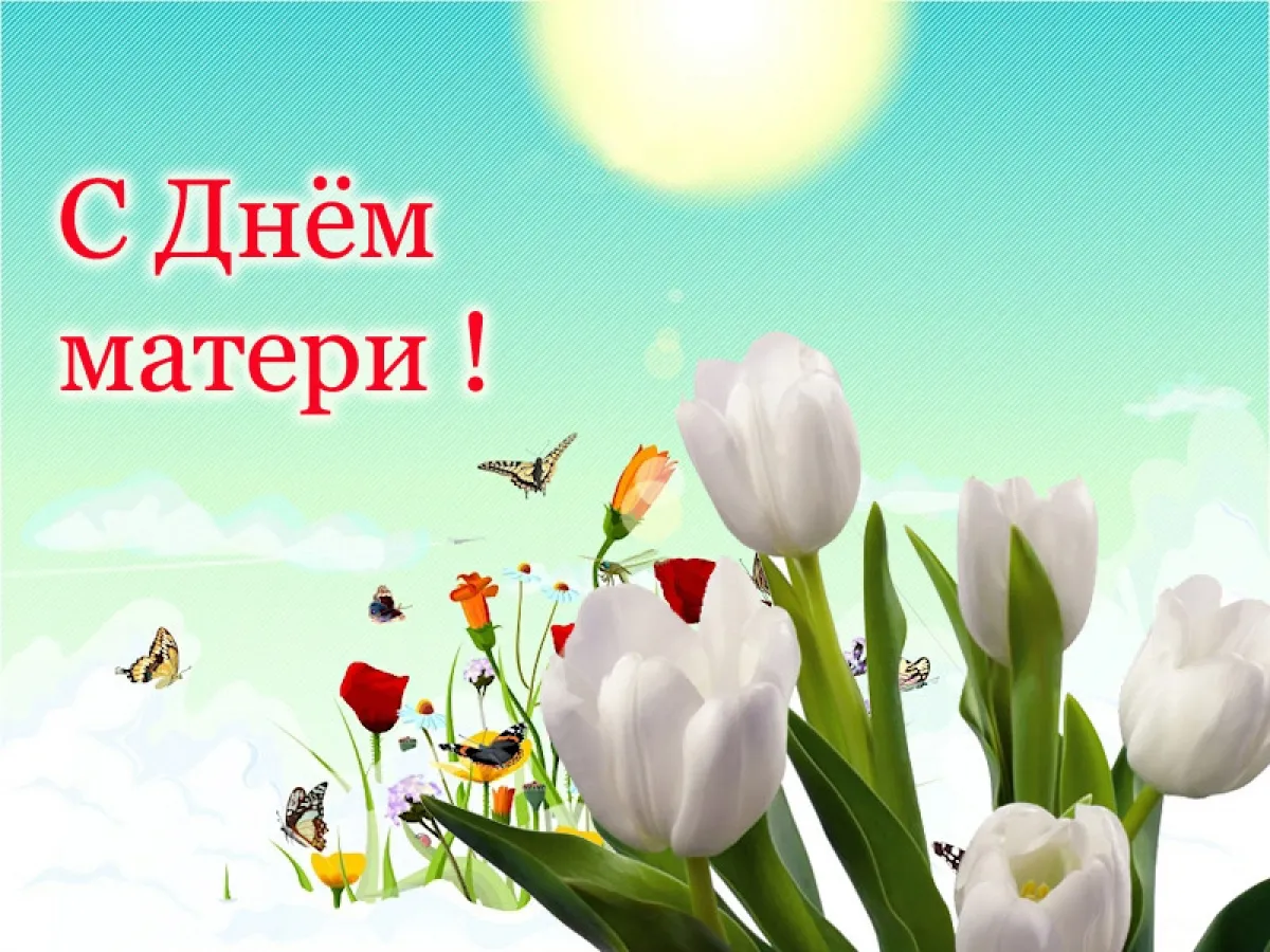 Открытка День матери - Открытка: Белые тюльпаны и бабочки на лугу | Красивая открытка #200