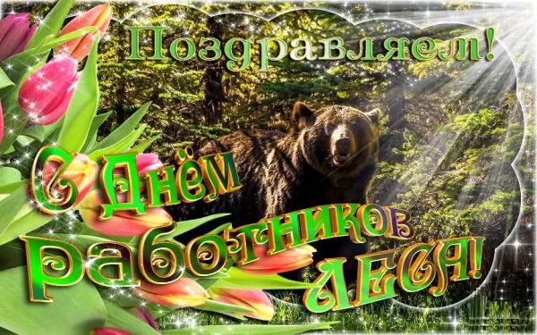 Открытка Открытки с днем работников леса - Открытка с медведем и цветами | Красивая открытка #36
