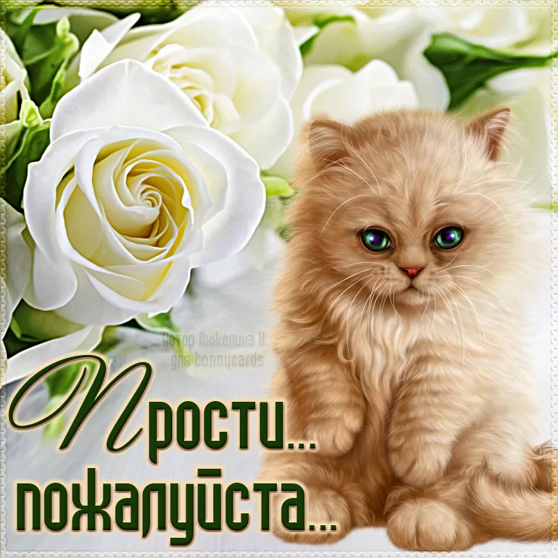 Открытка Прости - Открытка с котенком и розами: милая поздравительная открытка | Красивая открытка #9