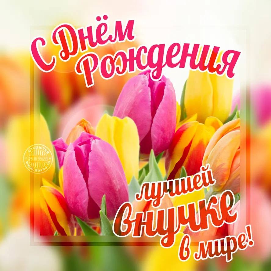 Открытка С днем рождения внучка - Открытка с тюльпанами: С Днем рождения! | Красивая открытка #9