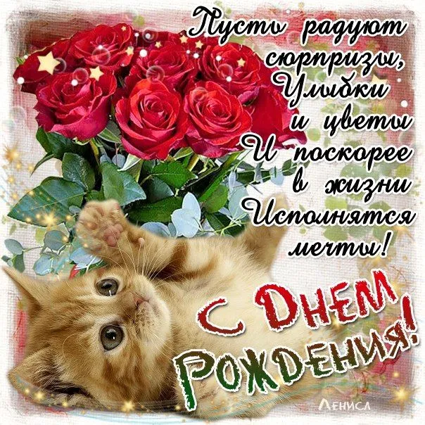Открытка С днём рождения сноха - Открытка с днем рождения: котенок и розы | Красивая открытка #48
