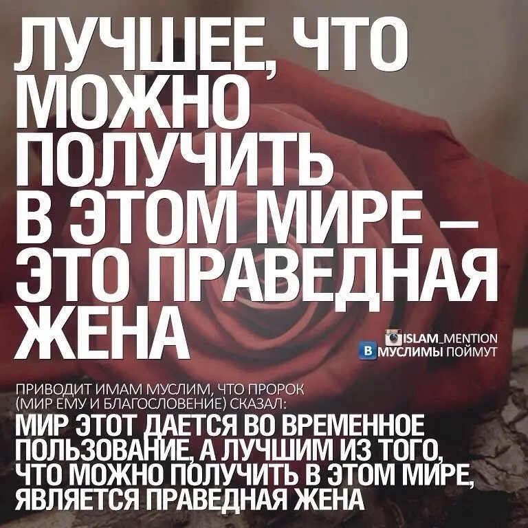 Открытка Отношения в семье - Мусульманская открытка: Мир  временное явление | Красивая открытка #13