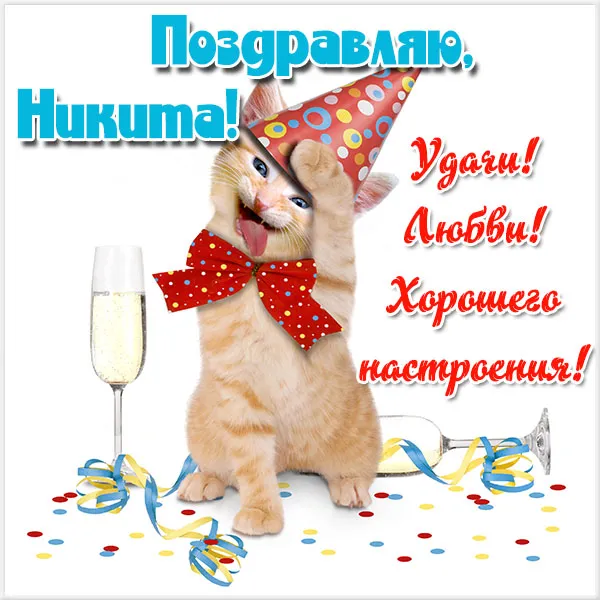 Открытка Открытки с именем Никита - Поздравительная открытка с котенком | Красивая открытка #190