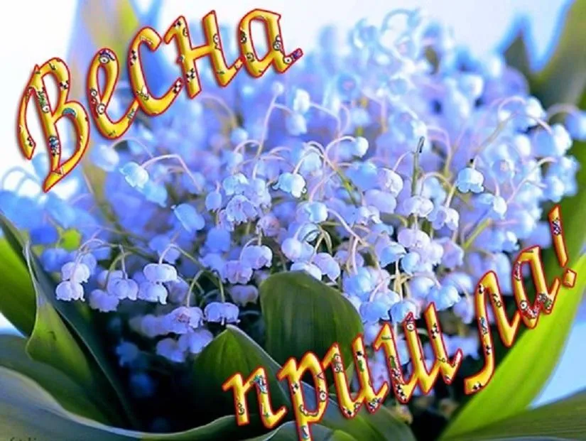 Открытка С первым днём весны - Ландыши — нежные цветы весны | Красивая открытка #9