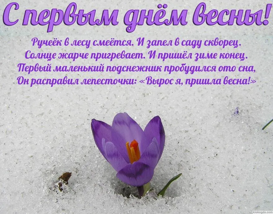 Открытка Первый день весны - Первые подснежники в снегу - весенняя открытка | Красивая открытка #149