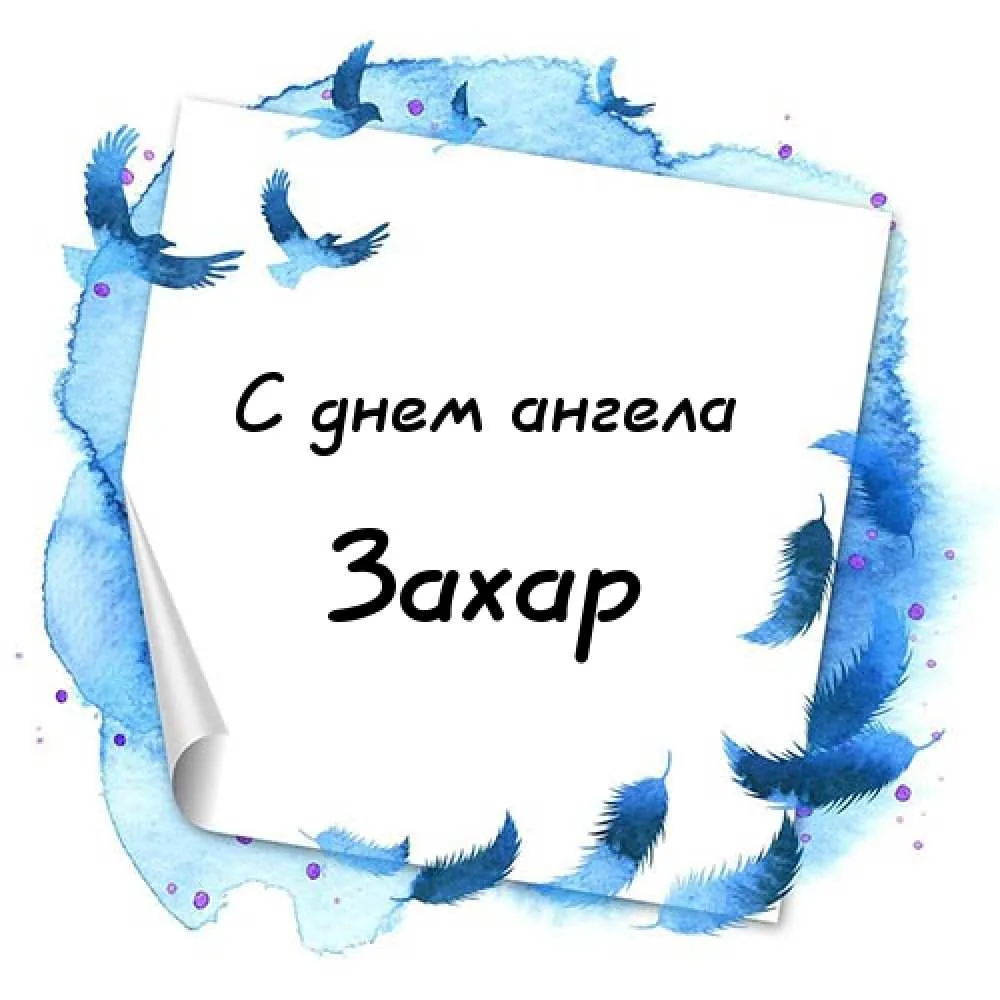 Открытка открытки с именем Захар - Открытка с днем рождения: голубые перья и птицы | Красивая открытка #62