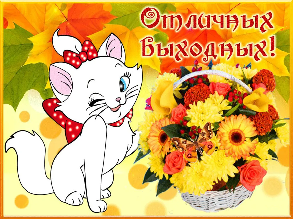 Открытка Хороших выходных - Открытка с котенком и цветами | Красивая открытка #9