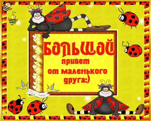 Открытка Привет другу/подруге - Открытка с божьей коровкой и пчелками | Красивая открытка #14