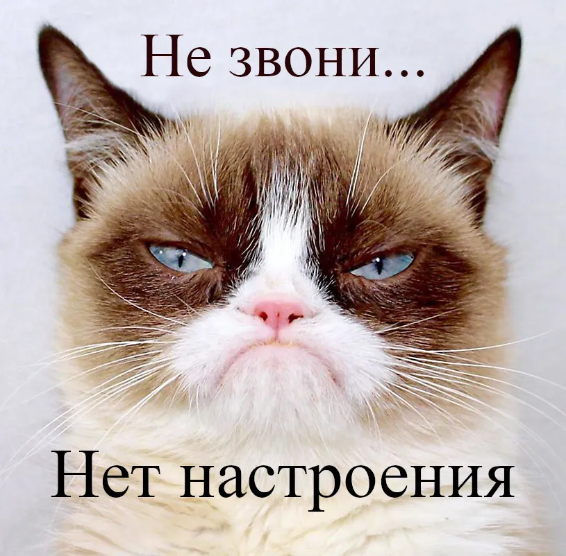 Открытка С кошками - Грустный кот: открытка с настроением | Красивая открытка #4