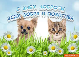 Открытка Открытки с днем доброты - Открытка с котенком и щенком на траве | Красивая открытка #19