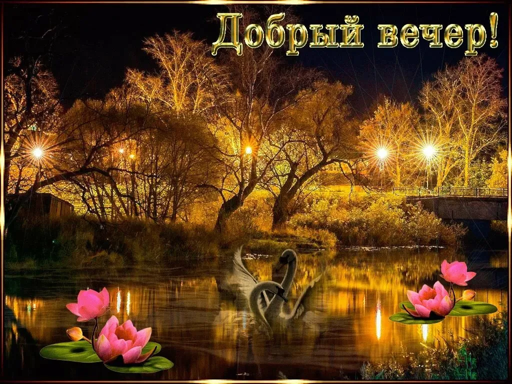 Открытка добрый вечер! - Лягушки, лотосы, пруд, вечерний пейзаж, природа | Красивая открытка #4