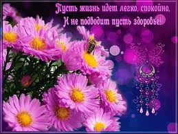 Открытка С астрами - Открытка с фиалками и пчелкой | Красивая открытка #16