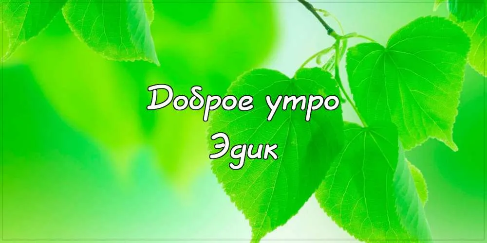 Открытка Открытки с именем Эдуард - Открытка "Доброе утро" на фоне зелени | Красивая открытка #220
