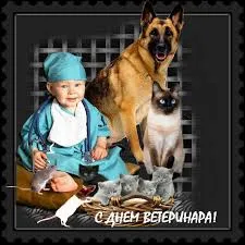 Открытка Открытки с днем ветеринара - Открытка с ветеринаром: мальчик, котята, собака | Красивая открытка #24