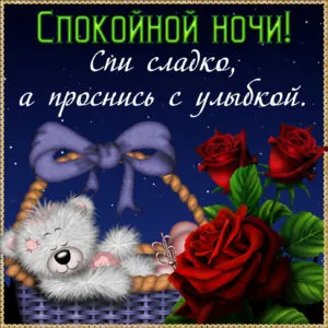 Открытка Спокойной ночи - Открытка: мишка, корзина, розы. | Красивая открытка #39