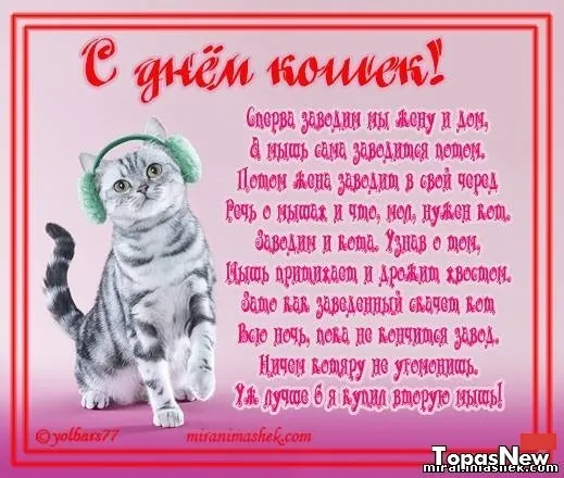 Открытка С Всемирным днём кошек - С Днём Рождения! Открытка с милым котиком | Красивая открытка #33