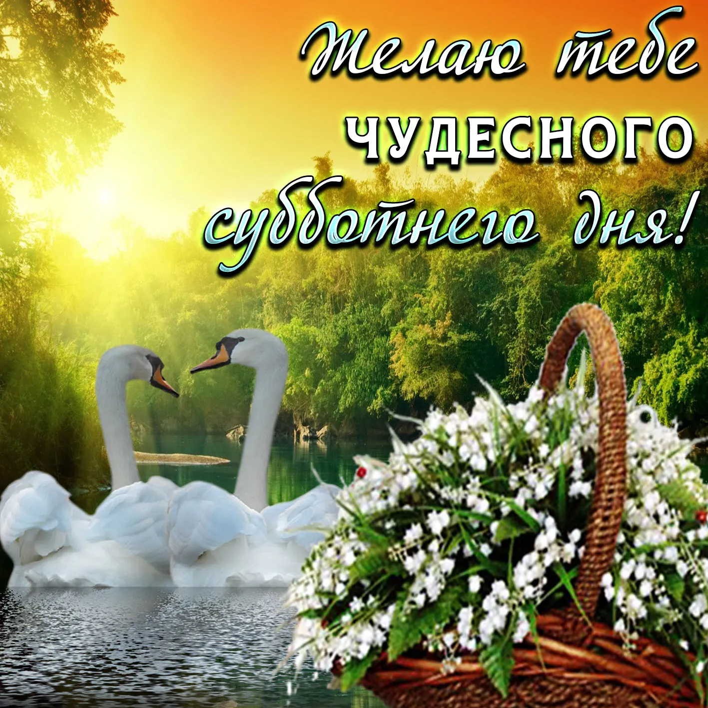 Открытка С лебедями - Открытка с лебедями на озере | Красивая открытка #37