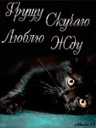 Открытка Скучаю - Кошка на открытке: милая мордочка, синие глаза | Красивая открытка #154