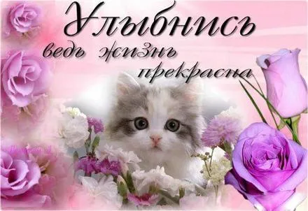 Открытка Улыбнись - Открытка с котенком и розами | Красивая открытка #131