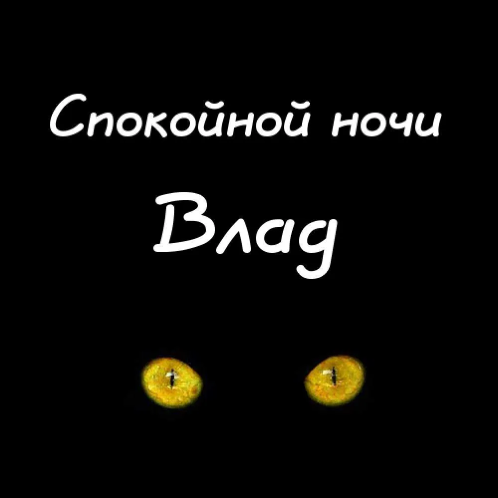 Открытка открытки с именем Владислав  - Открытка: Ночь, глаза кота | Красивая открытка #49