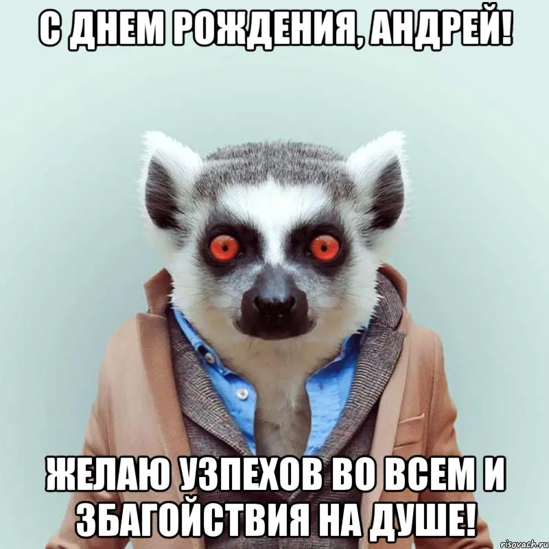Открытка открытки с именем Андрей - Лемур поздравляет с Днем Рождения! Открытка | Красивая открытка #163