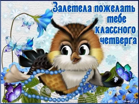 Открытка С четвергом - Открытка с совой и голубями. Синий, фиолетовый, голубой. | Красивая открытка #51